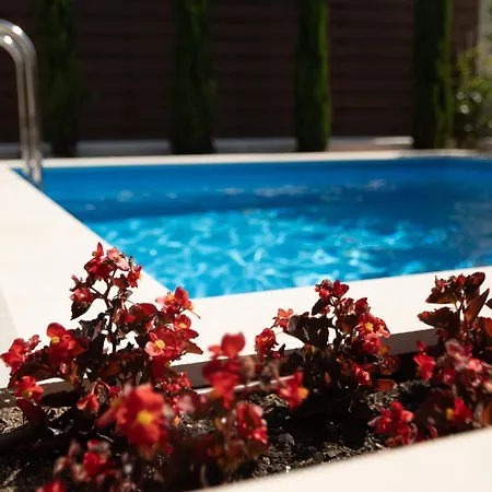 Pietra Mare * Πολύχρονο